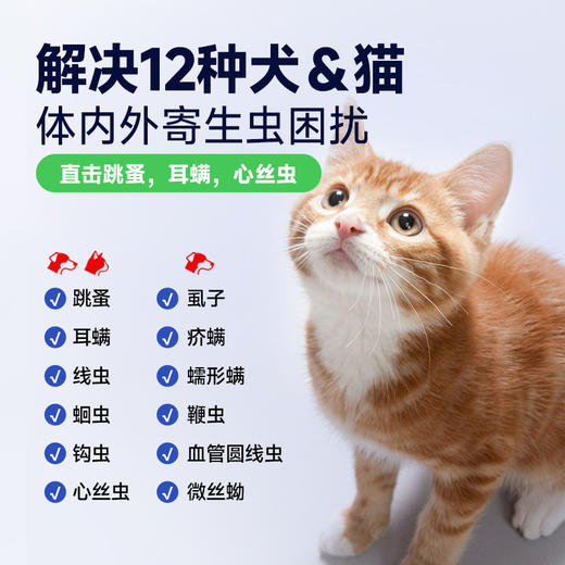 澳龙猫咪驱虫药体内外一体狗狗驱虫去跳蚤耳螨吡虫啉莫昔克丁滴剂 商品图5