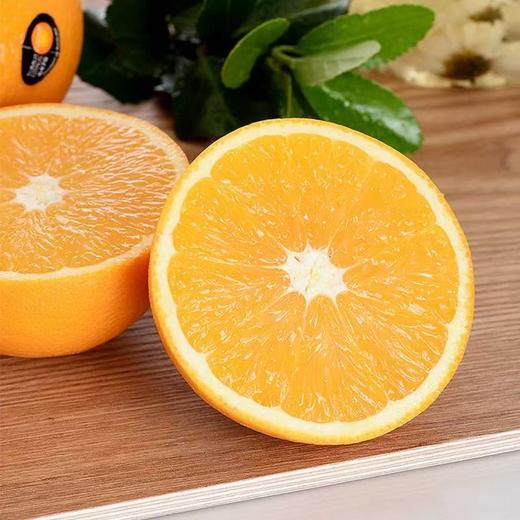 进口澳洲橙 商品图1