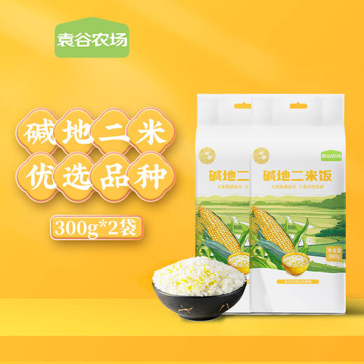 袁谷碱地二米饭300g*2袋大米玉米糁香糯二米饭真空小包装当季新米 商品图0