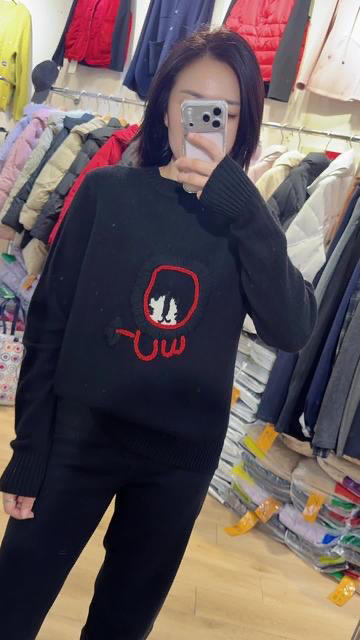 水淼2025冬新款百搭时尚休闲圆领提花柔软毛衣1358 商品图1