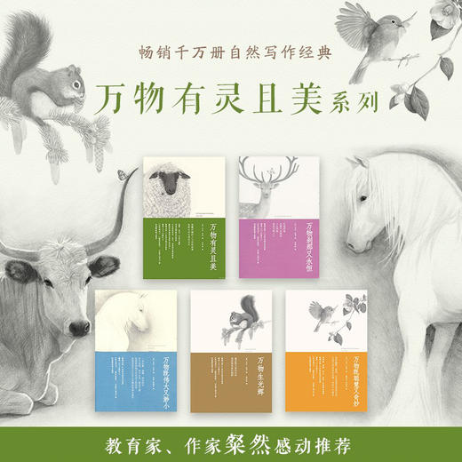 【官方正版】《万物有灵且美系列》（全5册， 改编英剧《万物生灵》第二季播出。《人民日报》推荐，温暖欢乐无处不幽默） 商品图2