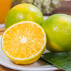 【麻阳冰糖橙】 湖南麻阳冰糖橙 水果橙子整箱精品水果当季甜橙 商品缩略图1