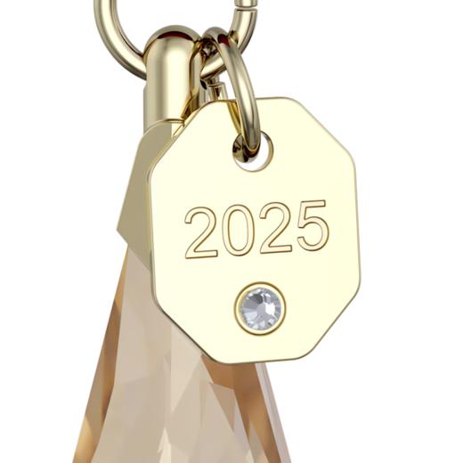 施华洛世奇 挂件  5701826-F 商品图1