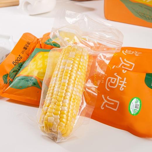 金苞贝有机玉米 商品图2
