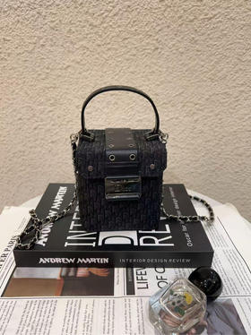 Dior Punk 黑色 老花拼皮 中古 手提包