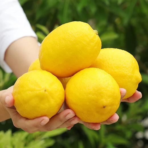 安岳黄柠檬 商品图0