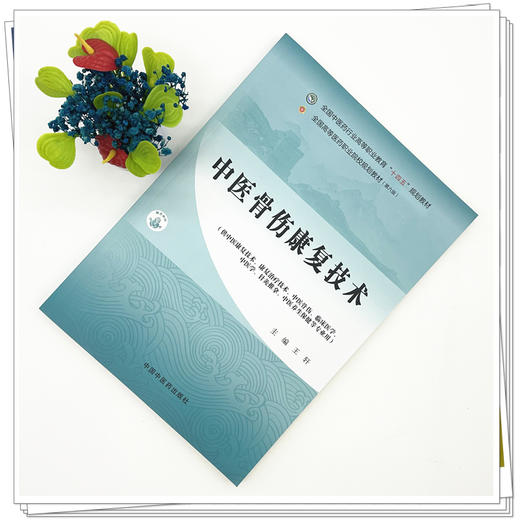 中医骨伤康复技术 王轩 主编 全国中医药行业高等职业教育十四五规划教材 中国中医药出版社 商品图1