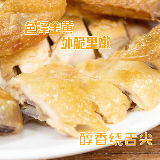 【靓腊哥】五指毛桃鸡500g（仅发广东省内） 商品图3