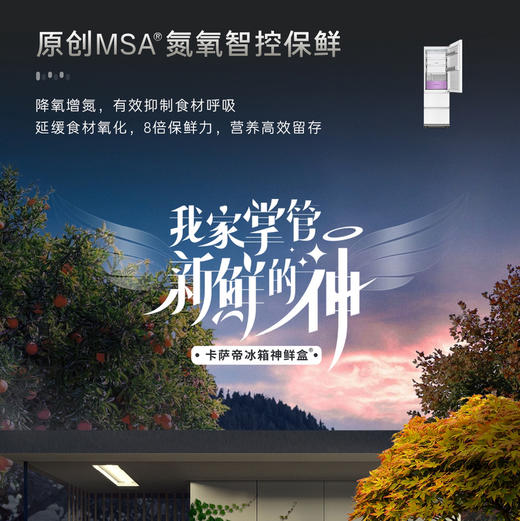 卡萨帝（Casarte）冰箱 BCD-415WGCD3AGWTU1 商品图6