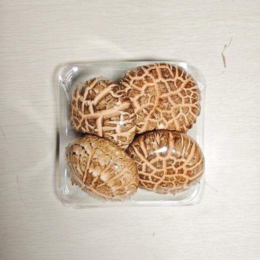 鲜香菇100g 商品图0