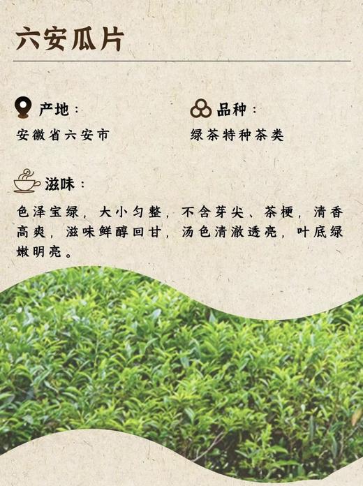 【双11：8包六安瓜片 送1盒石斛豆浆粉】六安瓜片 商品图3