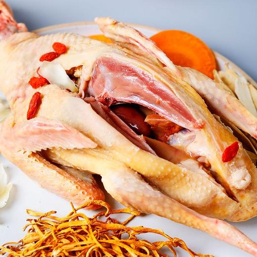 秋冬温补甄选！生态散养乳鸽350g±50g/只 无激素  1鸽胜9鸡  顺丰冷链 商品图4