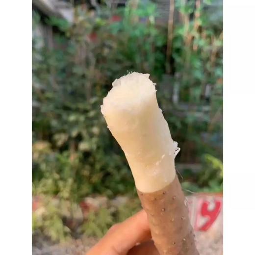 今年新挖的❗️8W2254农户自产自销-无公害小白嘴现挖山药 商品图8