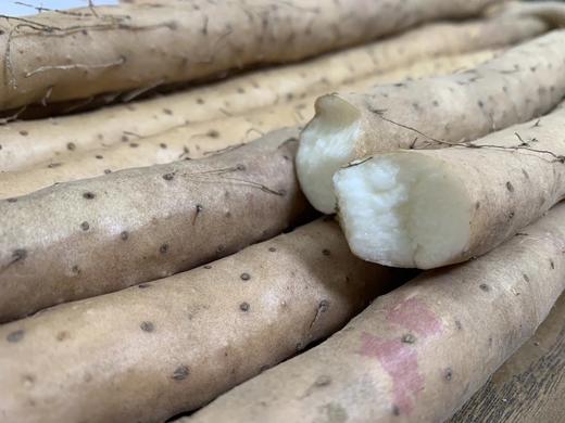 今年新挖的❗️8W2254农户自产自销-无公害小白嘴现挖山药 商品图4