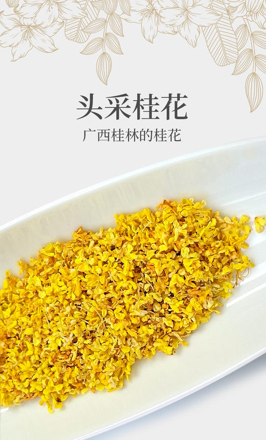 广西桂林头采桂花 20克 新花 商品图1
