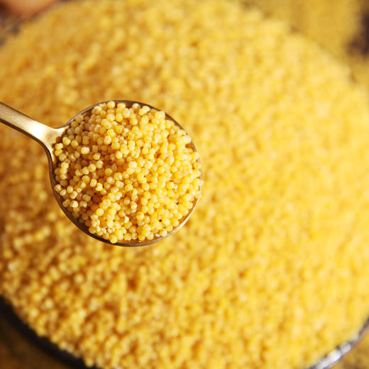 桃花峁米脂黄小米500*3 商品图3