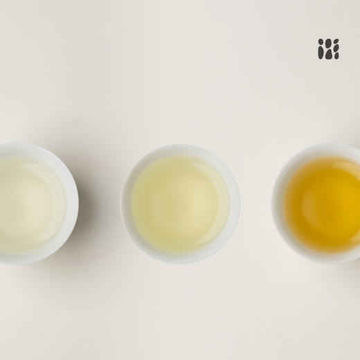 可以一见 福鼎白茶白牡丹红茶寿眉独立小包装茶叶品鉴 商品图3