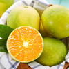 【麻阳冰糖橙】 湖南麻阳冰糖橙 水果橙子整箱精品水果当季甜橙 商品缩略图4