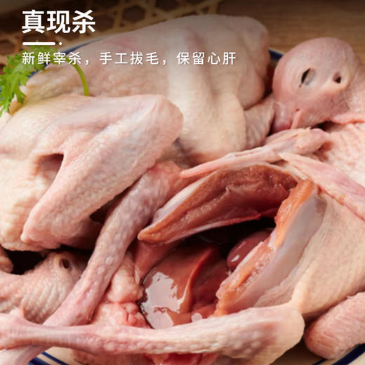 秋冬温补甄选！生态散养乳鸽350g±50g/只 无激素  1鸽胜9鸡  顺丰冷链 商品图3