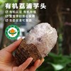 专一有机荔浦芋头 芋见对的人，粉身糯骨地甜 地标产品 商品缩略图0