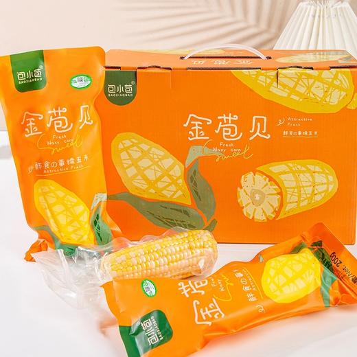 金苞贝有机玉米 商品图3