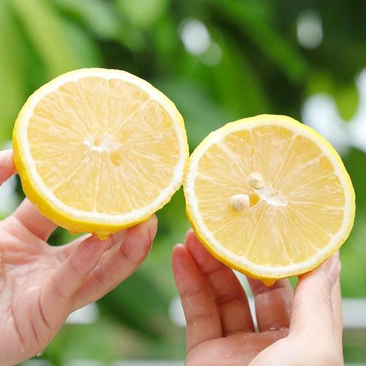 安岳黄柠檬 商品图2