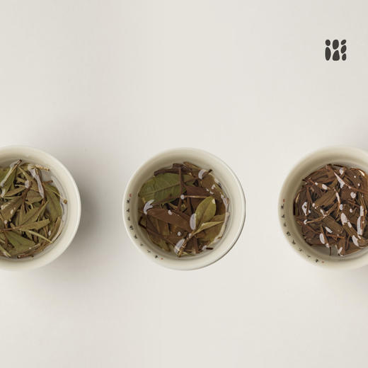 可以一见 福鼎白茶白牡丹红茶寿眉独立小包装茶叶品鉴 商品图4