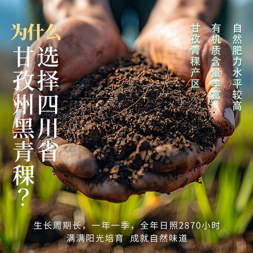 黑青稞混合粮 商品图1