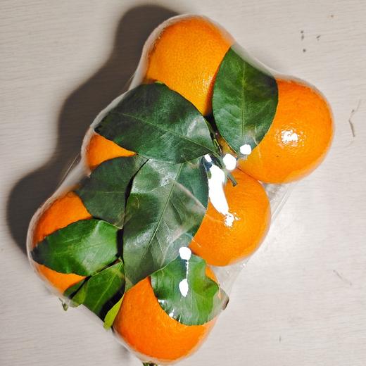 爱媛果冻橙3斤 商品图0