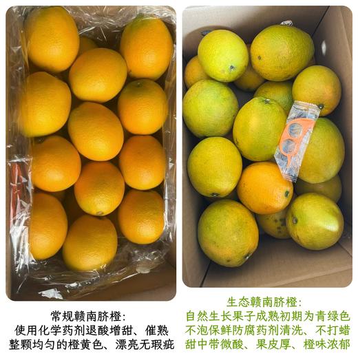 生态赣南脐橙（基地直发-京东包邮）| 5斤装，9斤装，19斤装，来自江西赣州，生产者：喻生胜【合作生产，公平贸易】 商品图13