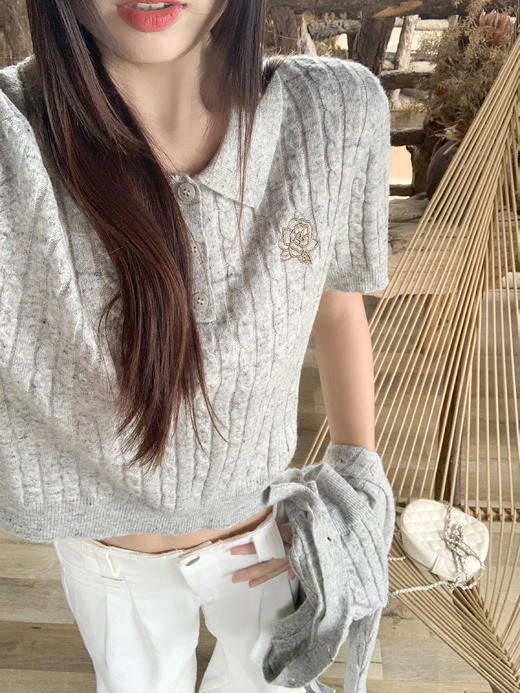 <曾小咸推荐>现货秒杀！微信超特价！3色polo领刺绣针织衫两件套 日常219.99 立减120 秒杀99.99！ 商品图5