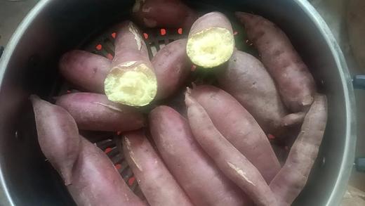 生态红薯，290项检测零农残，干面甜红薯和哈密薯5斤装，因不用农药，可能有少量虫眼，介意慎拍！京东或圆通包邮 // 山西净土生态农场 商品图4