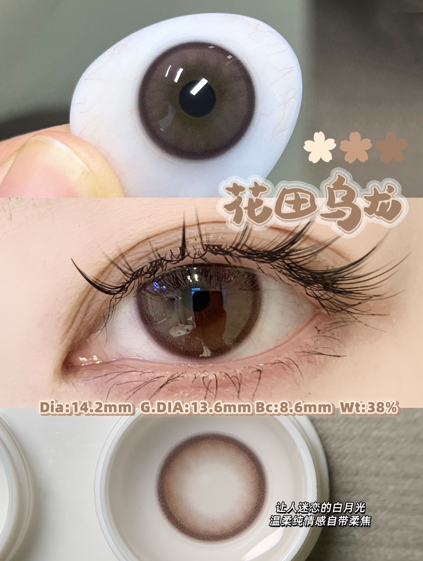 半年抛 Woolilens  花田乌龙 14.2