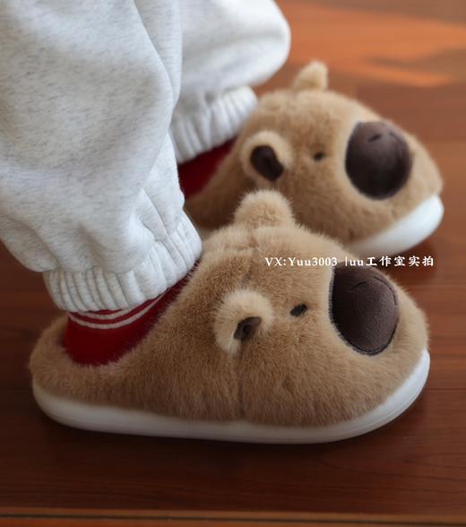 情侣款35-44：卡皮巴拉家居棉拖鞋，非劣质版，附对比 商品图0