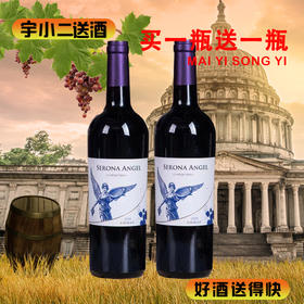 【买一送一】【进口红酒】智利赛罗娜天使西拉干红葡萄酒13.5°750ml