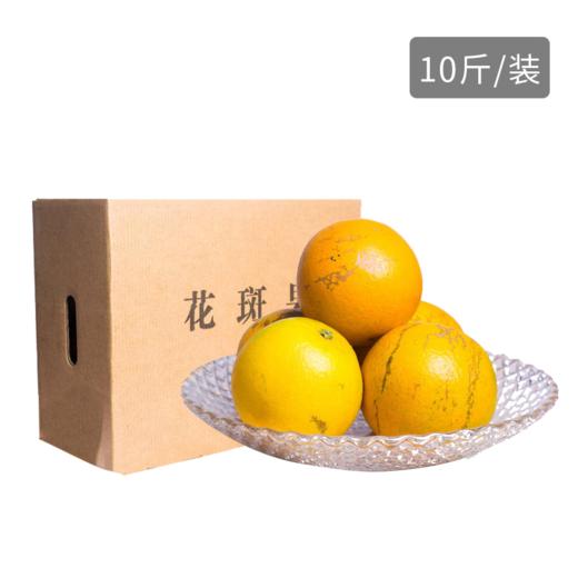 【2025季】褚小斑褚氏花斑果M级10斤装一箱 商品图10