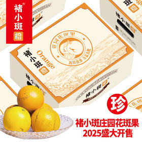 【2025季】褚小斑褚氏花斑果珍品10斤装XXL级一箱