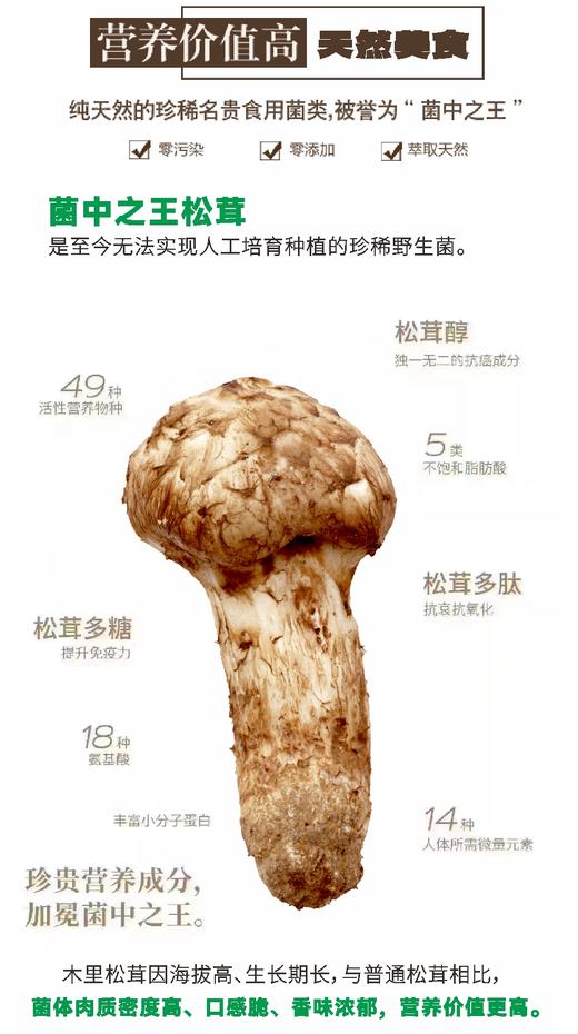 精品冻干松茸礼盒28g/盒 商品图4