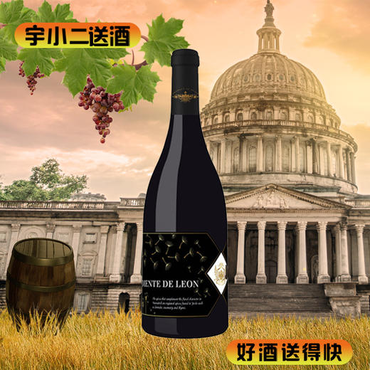 【进口红酒】西班牙蒲公英干红葡萄酒13度750ml 商品图0