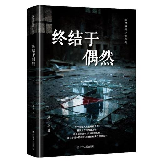 终结于偶然 商品图0