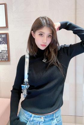 驴家 25FW秋冬新款 标志性刺绣黑高领针织衫（DQJ）