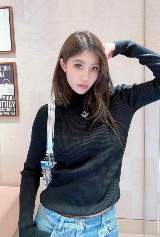 驴家 25FW秋冬新款 标志性刺绣黑高领针织衫（DQJ） 商品图0