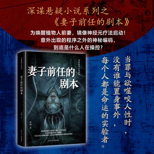 妻子前任的剧本 商品图0