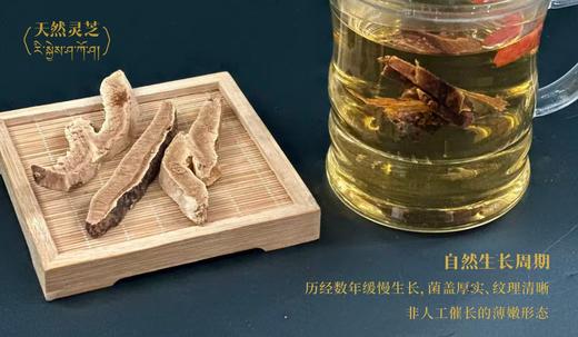 天然灵芝30g 商品图2