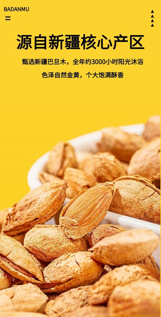 【五香巴达木】饱满酥脆，壳脆易剥不费劲 商品图2