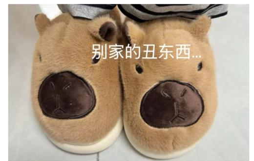 情侣款35-44：卡皮巴拉家居棉拖鞋，非劣质版，附对比 商品图3