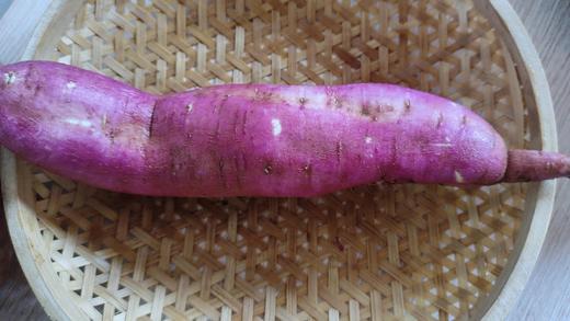 生态红薯，290项检测零农残，干面甜红薯和哈密薯5斤装，因不用农药，可能有少量虫眼，介意慎拍！京东或圆通包邮 // 山西净土生态农场 商品图2