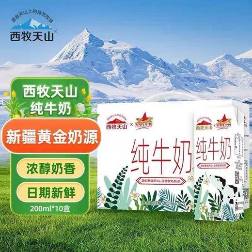 新疆军垦系列纯牛奶200g盒装/10月生产 商品图1