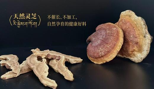 天然灵芝30g 商品图0