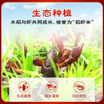 太粮稻虾软米2.5kg 油粘米长粒香大米5斤 京东自营 粮油 新米 /粮油调味 /米 /油粘米 商品图4